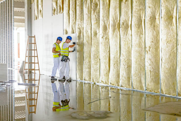 Best Insulation Installation Services in Daniel, UT